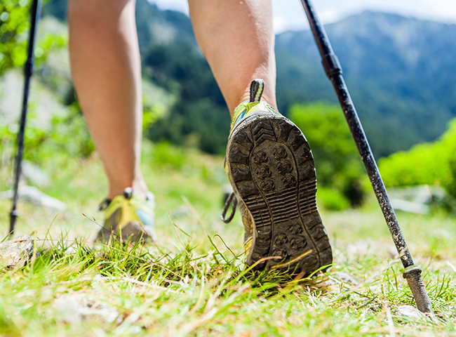 Woman hiking in mountains, adventure and exercising. Nordic walking in sunny  summer nature outdoors. Legs and sport shoes walk on grass
